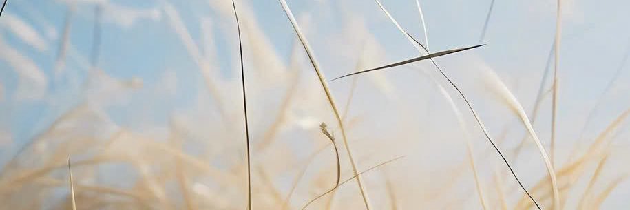 damthanlong's profile banner image