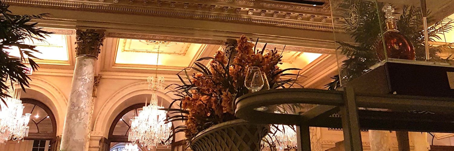 The Lace Curtain Diaries banner