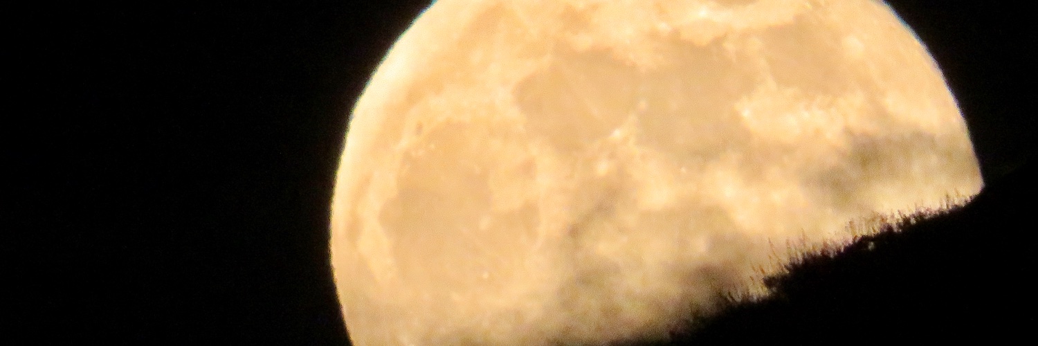 shehulkstrong's profile banner image