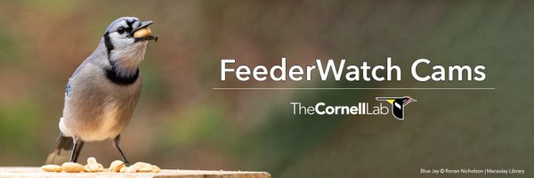 FeederWatchCam Profile Banner