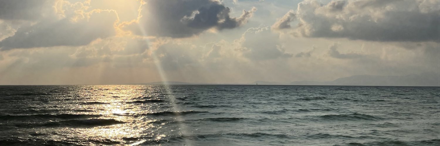 RosaDominguezf's profile banner image