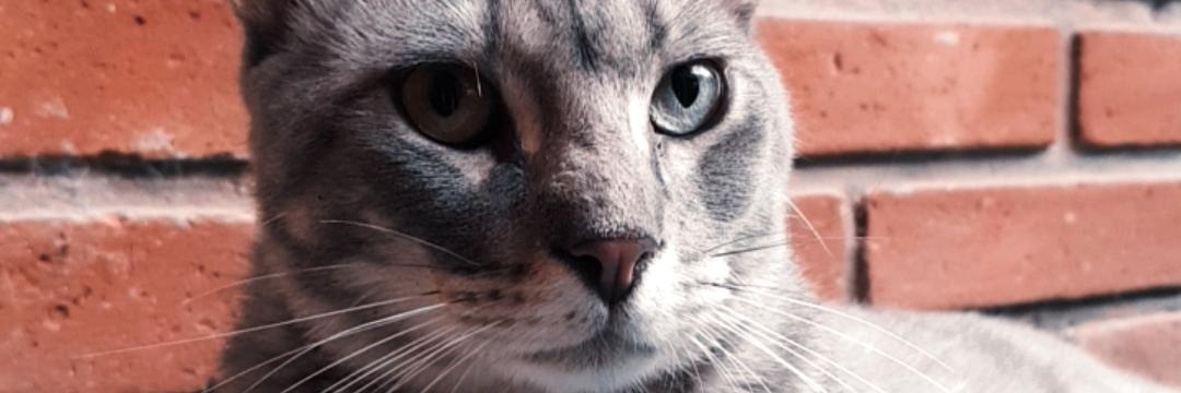 Sebaass_18's profile banner image