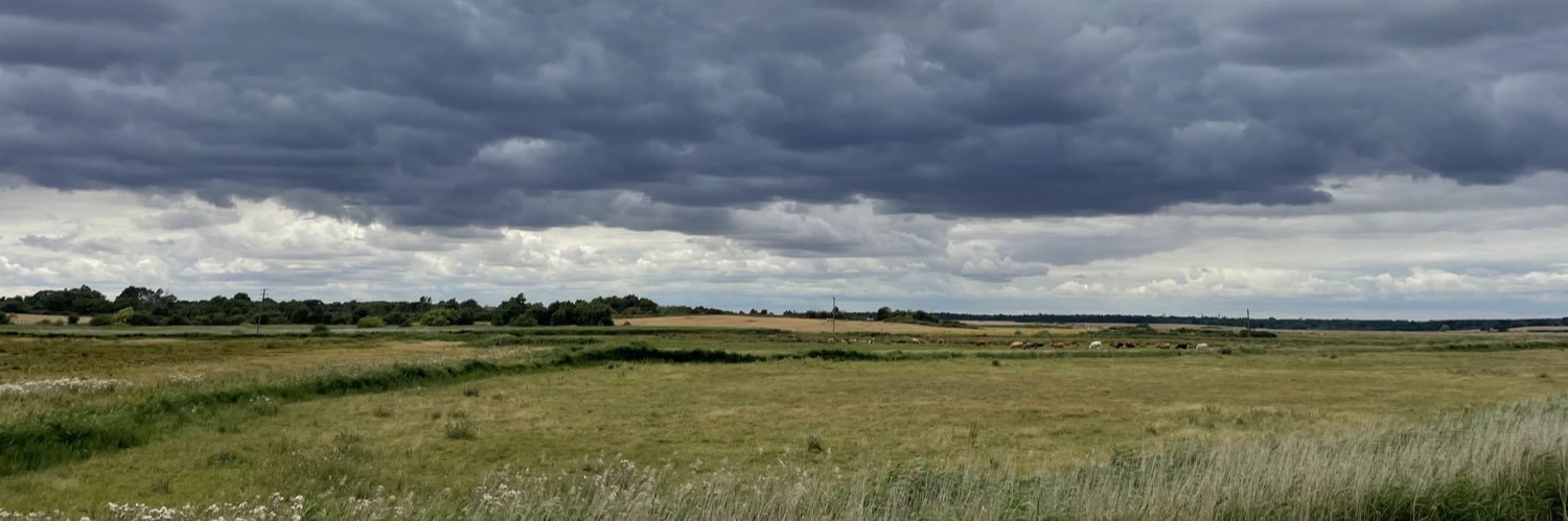 HelenGreaves3's profile banner image