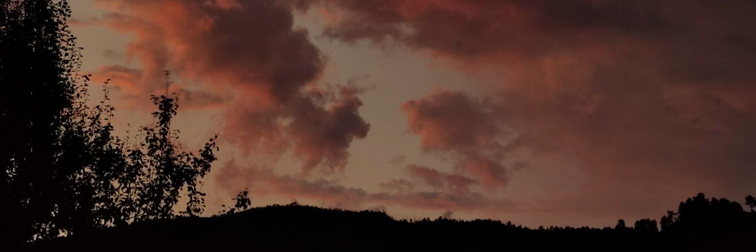 cansucebovic's profile banner image