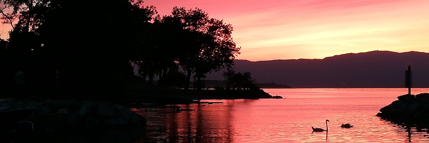 Marie_Pims's profile banner image
