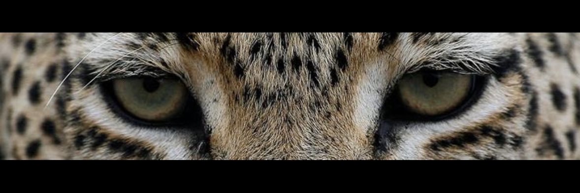 ilknurmsl's profile banner image
