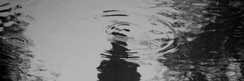 cynda_ _ _ _ banner