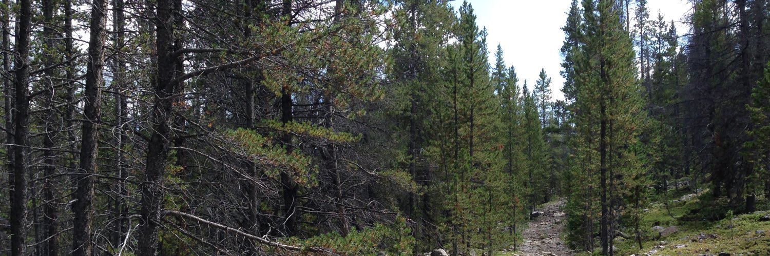 Anon banner