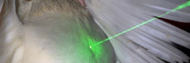 nymphet_24's profile banner image