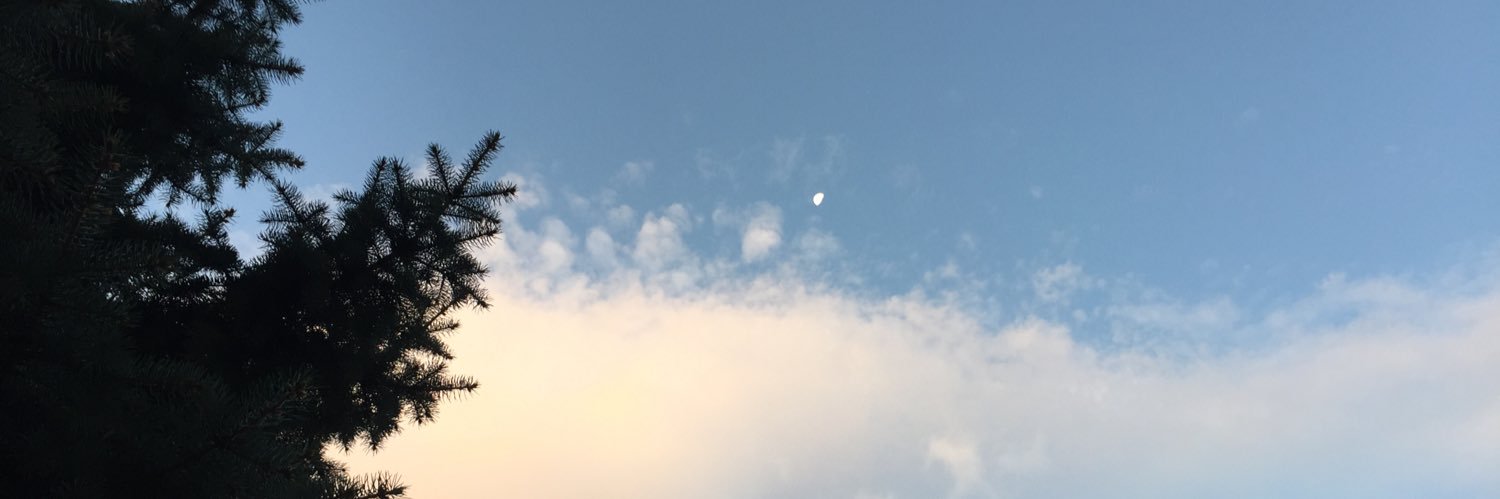 Kalamitiii's profile banner image