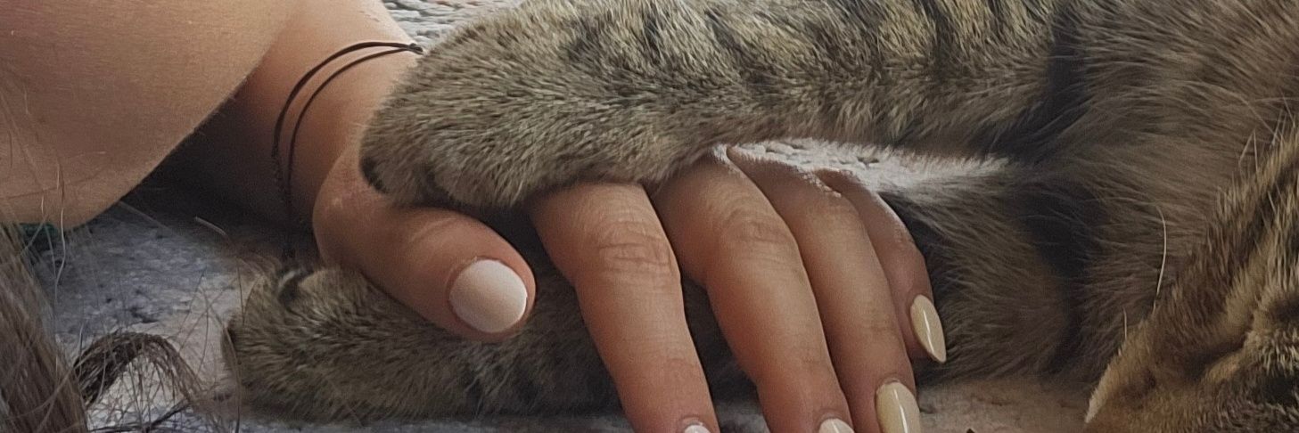 جودے ابوت banner