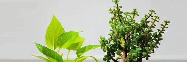 Varunchhipa7's profile banner image