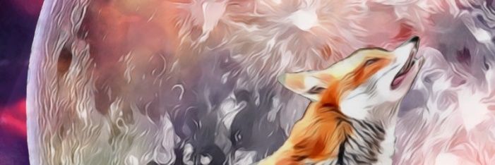 nsaif19's profile banner image
