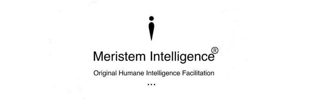 MeristemIntell1's profile banner image