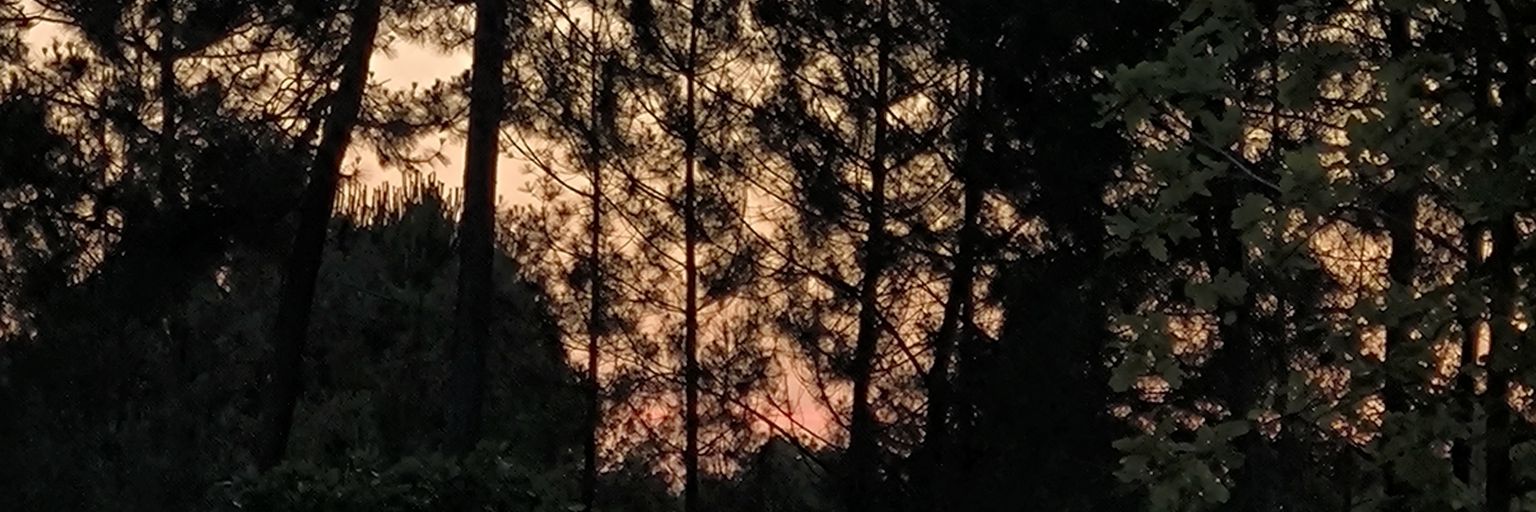 nonox33510's profile banner image
