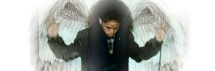 alex perez banner