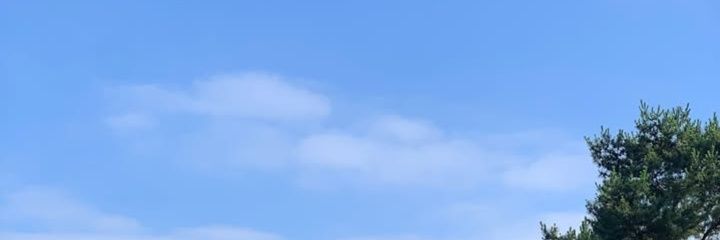 ೀ banner