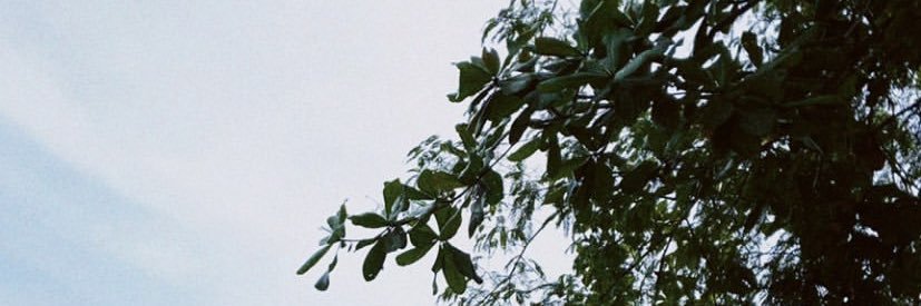fz_fkhr's profile banner image