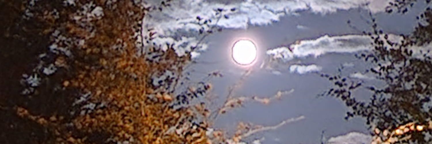 YYCKit's profile banner image