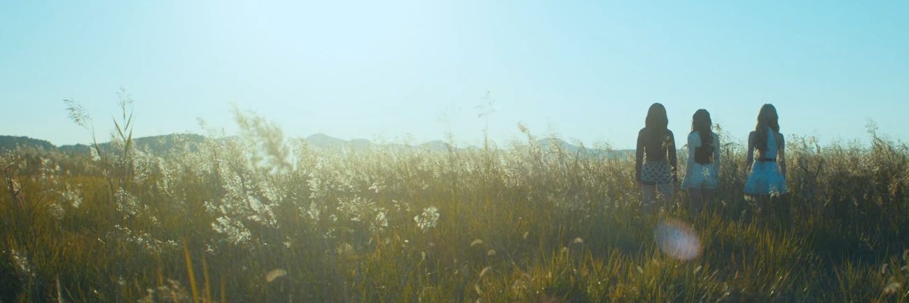 GFRIEDfries's profile banner image