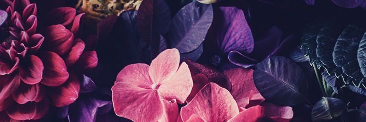 MeetBilly29's profile banner image