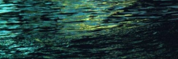 Marly banner