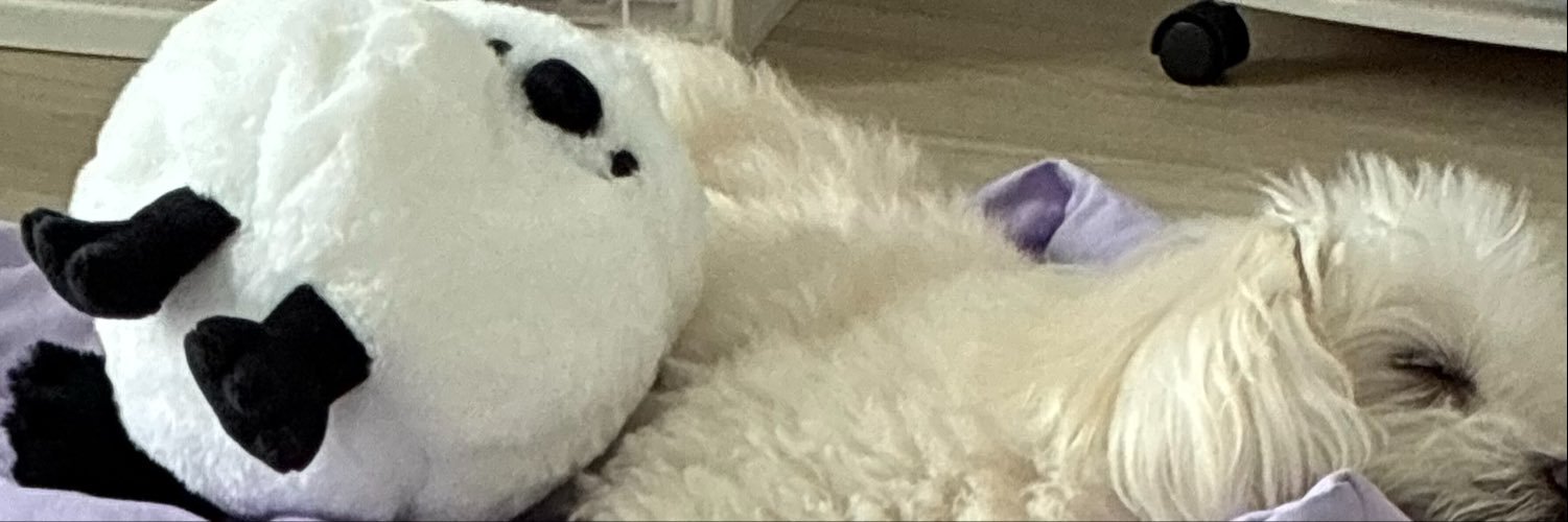 haaachan05's profile banner image