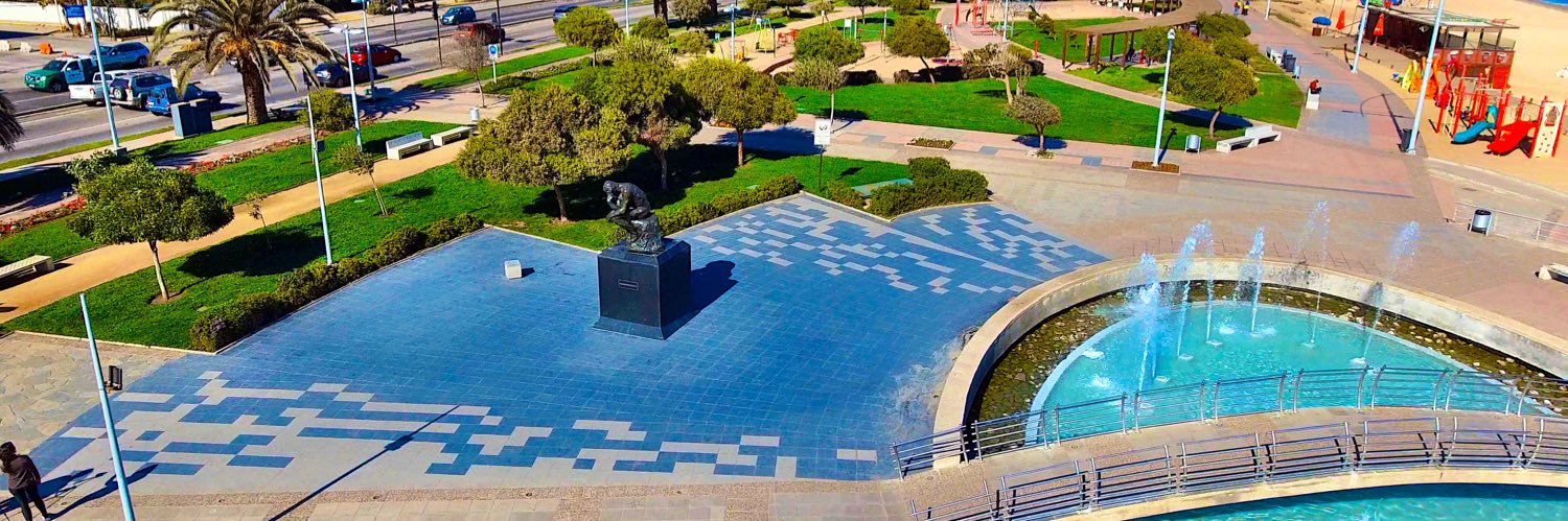 Virginia Reginato banner