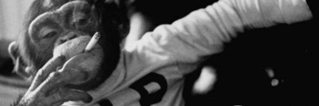 EL banner