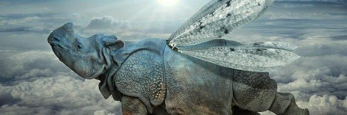vulfandrey's profile banner image