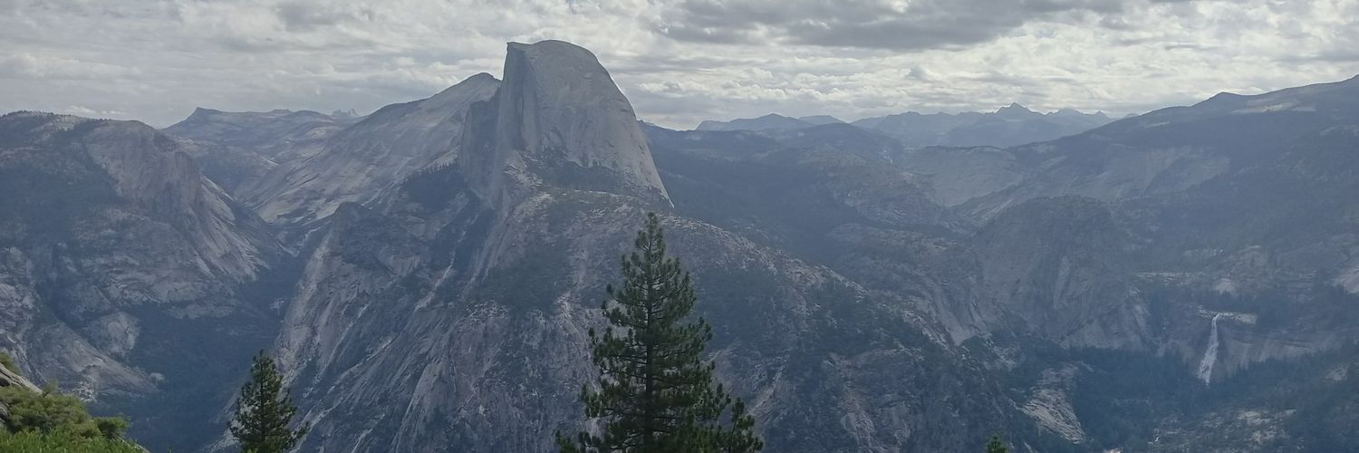 TopoInvestor banner