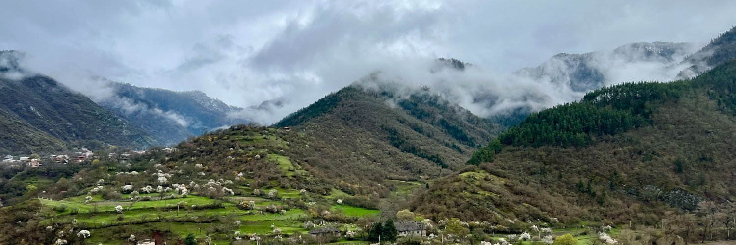 Ekaterina Lobacheva banner