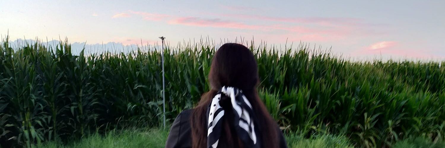 luulopezm's profile banner image