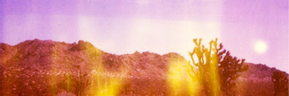 vvitchbottle's profile banner image