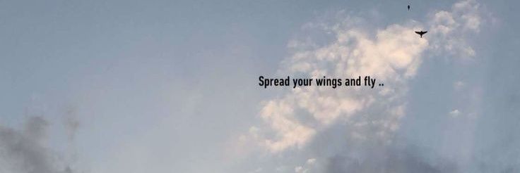 Hadeer79044974's profile banner image
