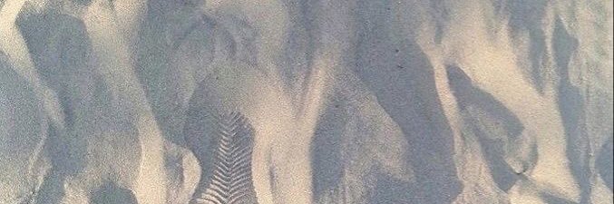 โฟน 𓍼 banner