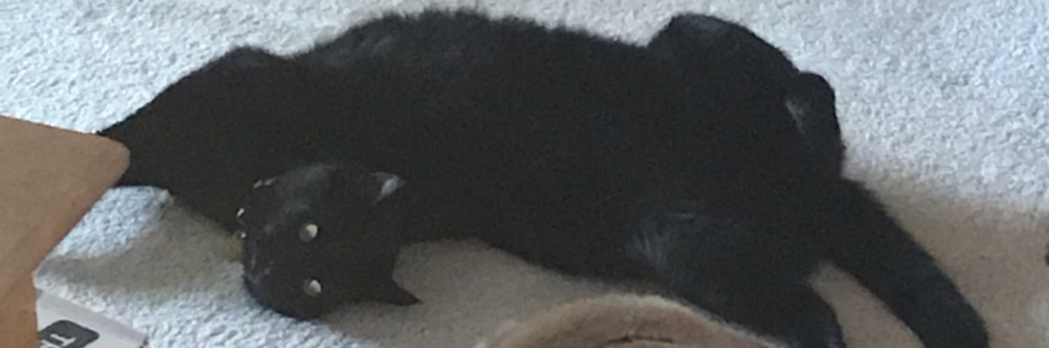 MrDrProfMichael's profile banner image
