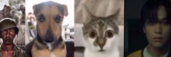 haechewed Profile Banner