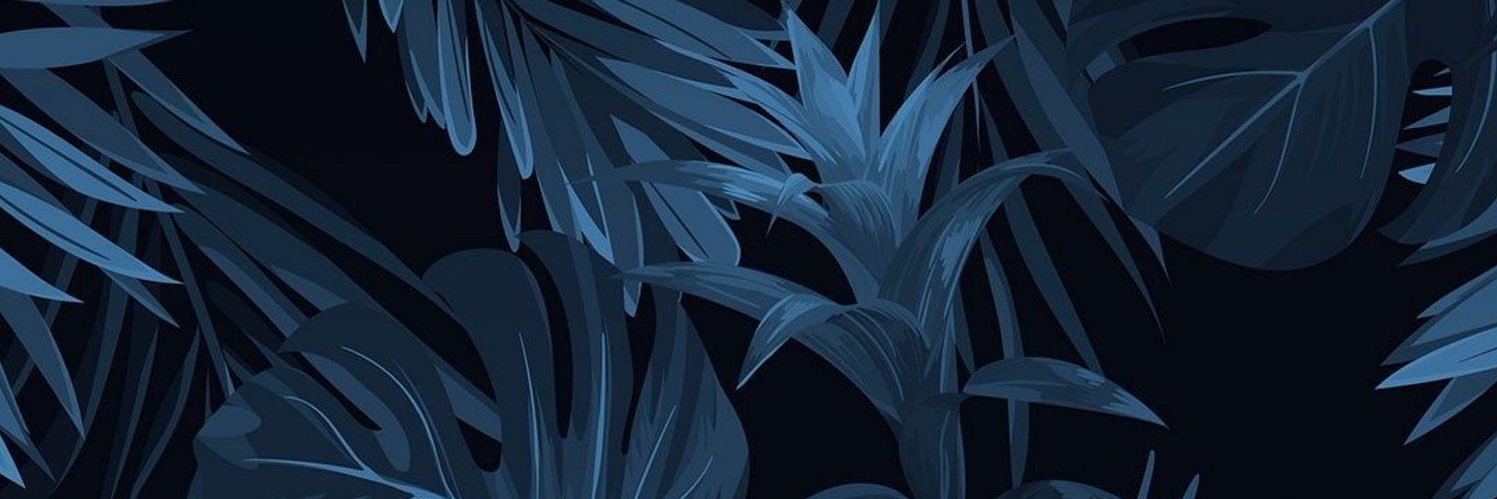 Raaffyysunga's profile banner image