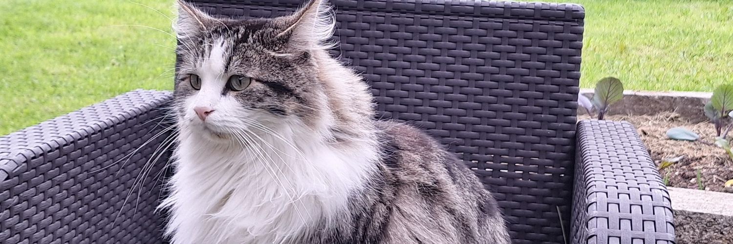 Mouslv67's profile banner image