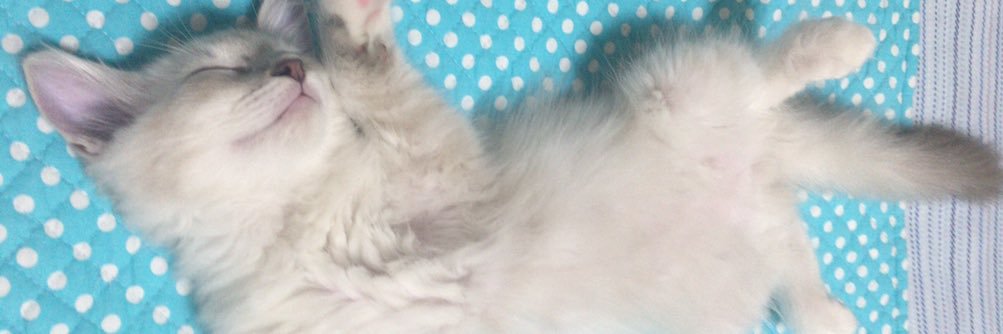 rrmcat's profile banner image