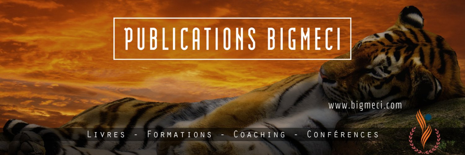 PBigmeci's profile banner image