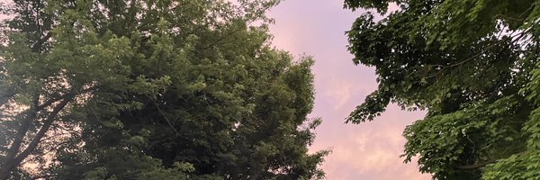 Taraebolo Profile Banner