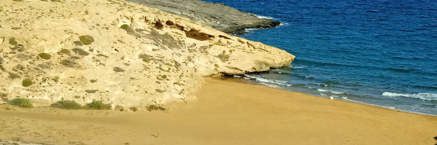 RaquelCancela_'s profile banner image