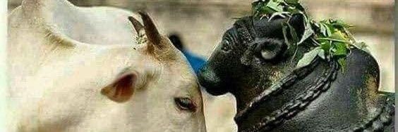 Krantikariamit_'s profile banner image
