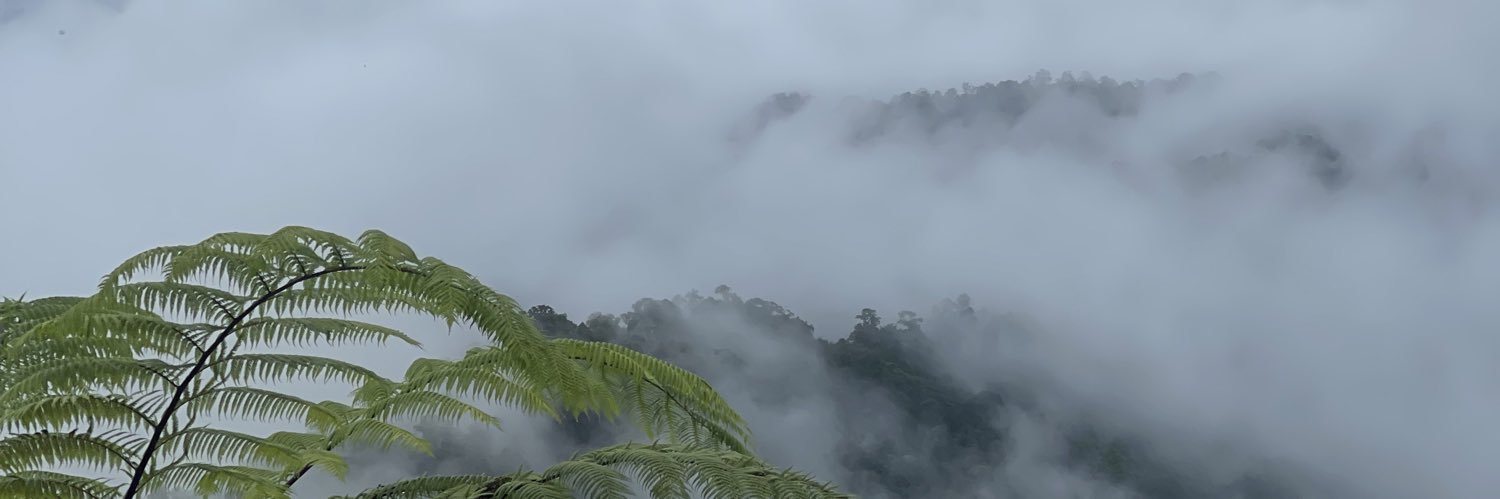 sydgemok's profile banner image