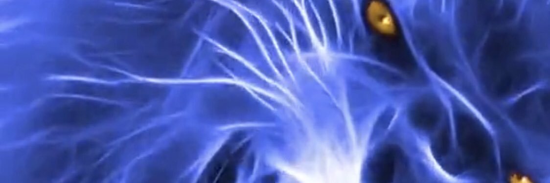 sirbobbycrypto's profile banner image
