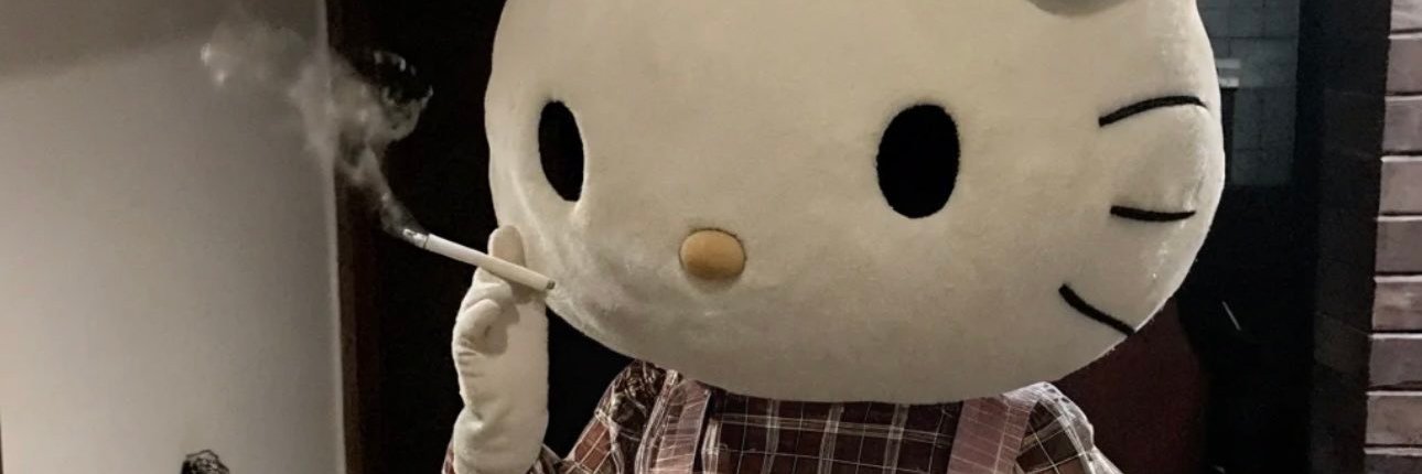 itsaneekTTV's profile banner image