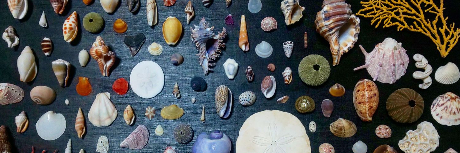 deepsea_15's profile banner image