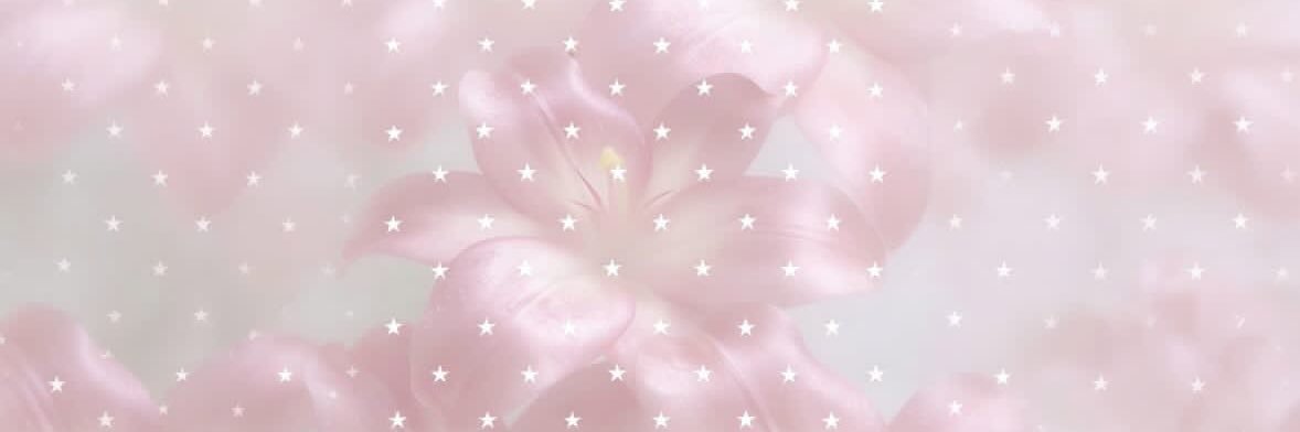 tinyjulieb's profile banner image